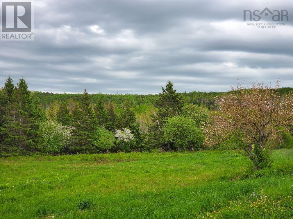 Dunroamin Road, Doctors Brook, Nova Scotia  B2G 2L1 - Photo 3 - 202411619