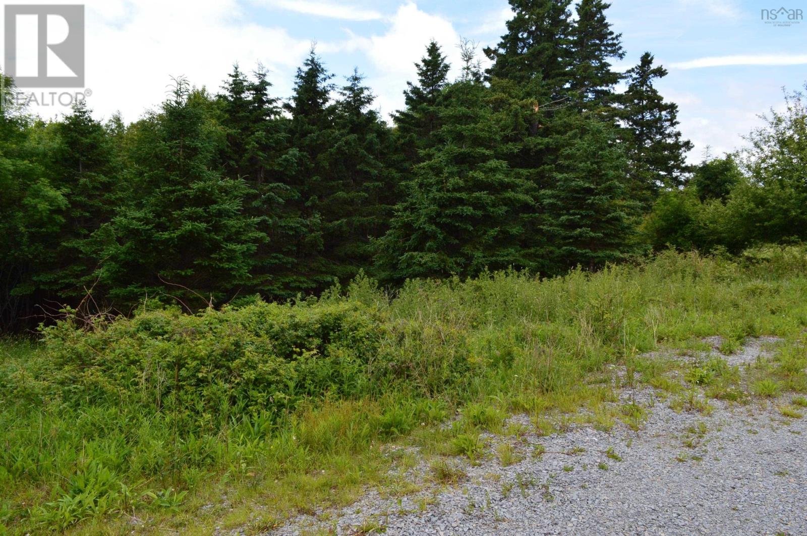 Lot Portion Of 60169216 Blue Rocks Road, Garden Lots, Nova Scotia  B0J 2C0 - Photo 12 - 202411671