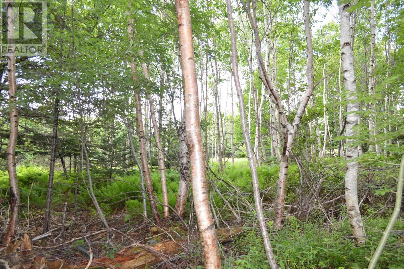 Lot Portion Of 60169216 Blue Rocks Road, Garden Lots, Nova Scotia  B0J 2C0 - Photo 15 - 202411671