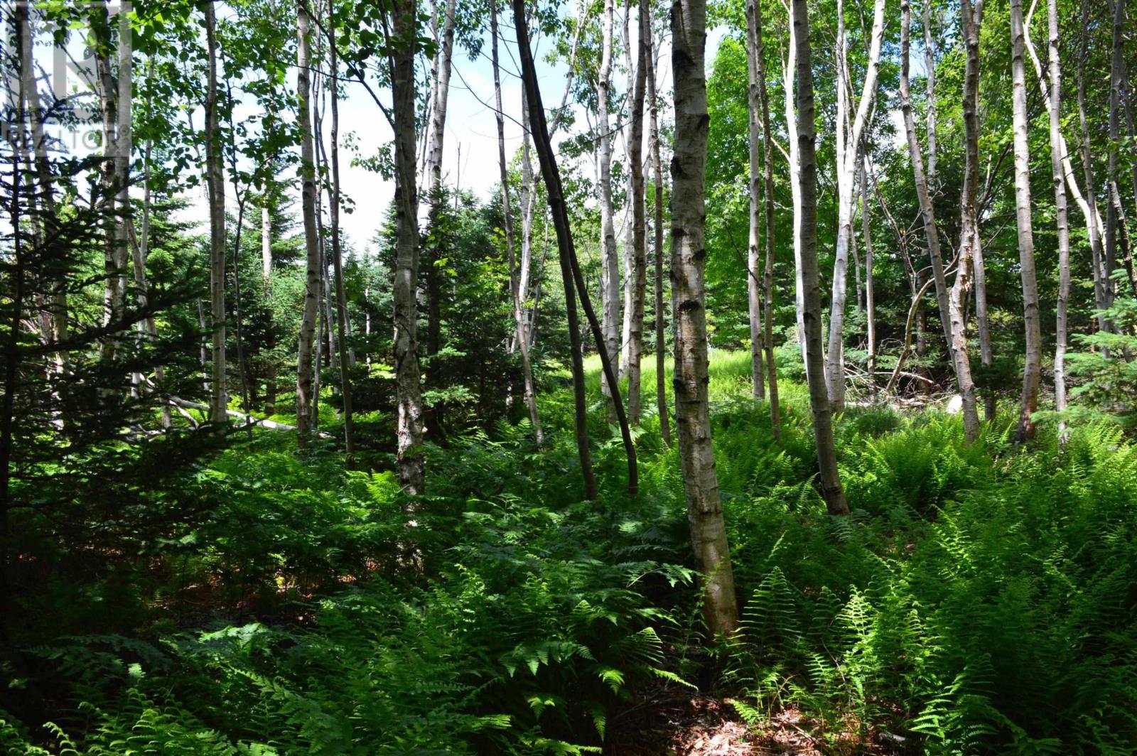 Lot Portion Of 60169216 Blue Rocks Road, Garden Lots, Nova Scotia  B0J 2C0 - Photo 17 - 202411671