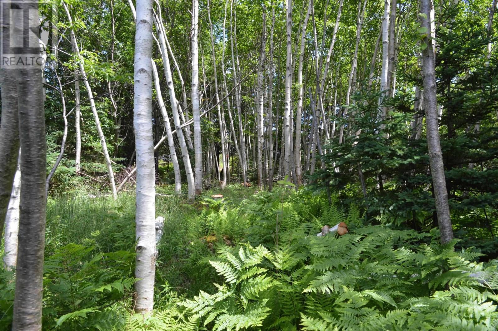 Lot Portion Of 60169216 Blue Rocks Road, Garden Lots, Nova Scotia  B0J 2C0 - Photo 18 - 202411671