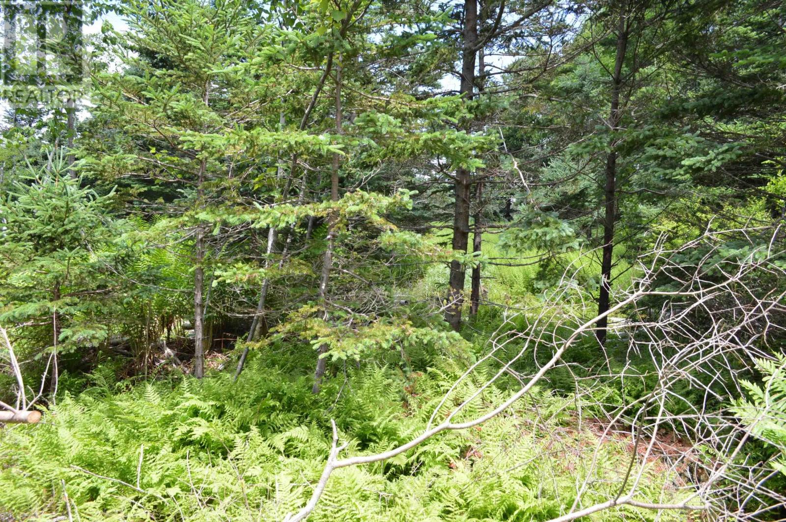 Lot Portion Of 60169216 Blue Rocks Road, Garden Lots, Nova Scotia  B0J 2C0 - Photo 20 - 202411671