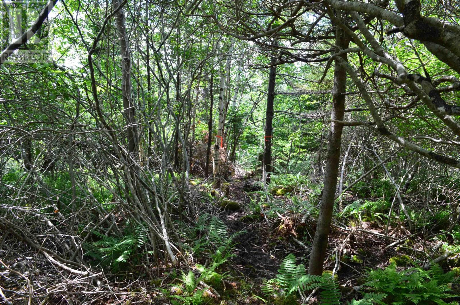 Lot Portion Of 60169216 Blue Rocks Road, Garden Lots, Nova Scotia  B0J 2C0 - Photo 21 - 202411671