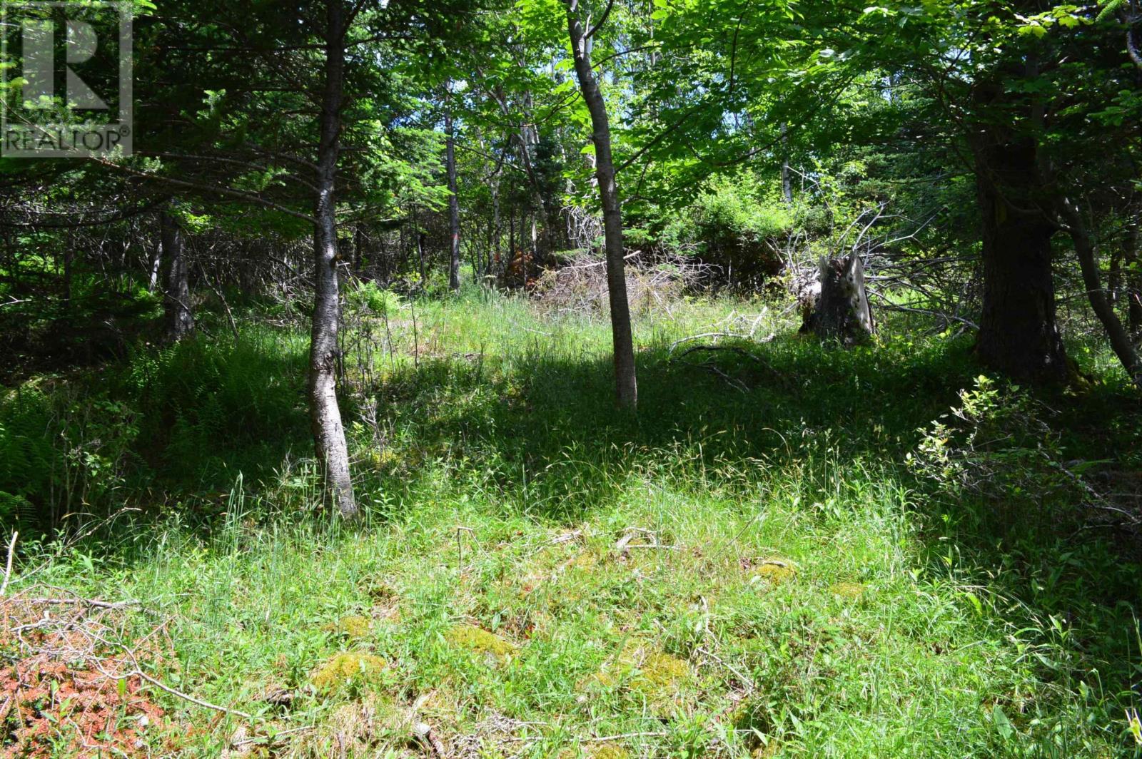 Lot Portion Of 60169216 Blue Rocks Road, Garden Lots, Nova Scotia  B0J 2C0 - Photo 22 - 202411671