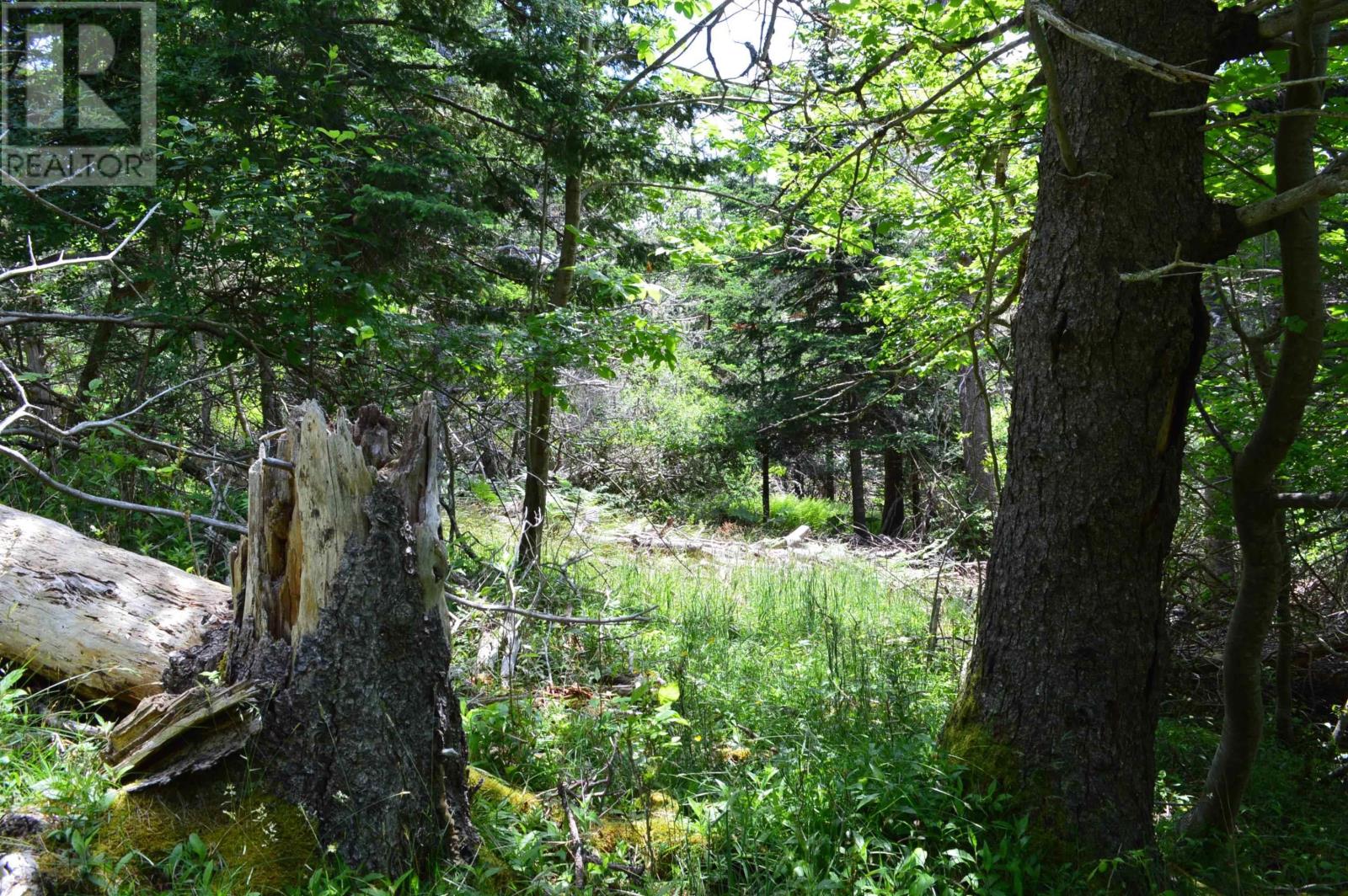 Lot Portion Of 60169216 Blue Rocks Road, Garden Lots, Nova Scotia  B0J 2C0 - Photo 23 - 202411671