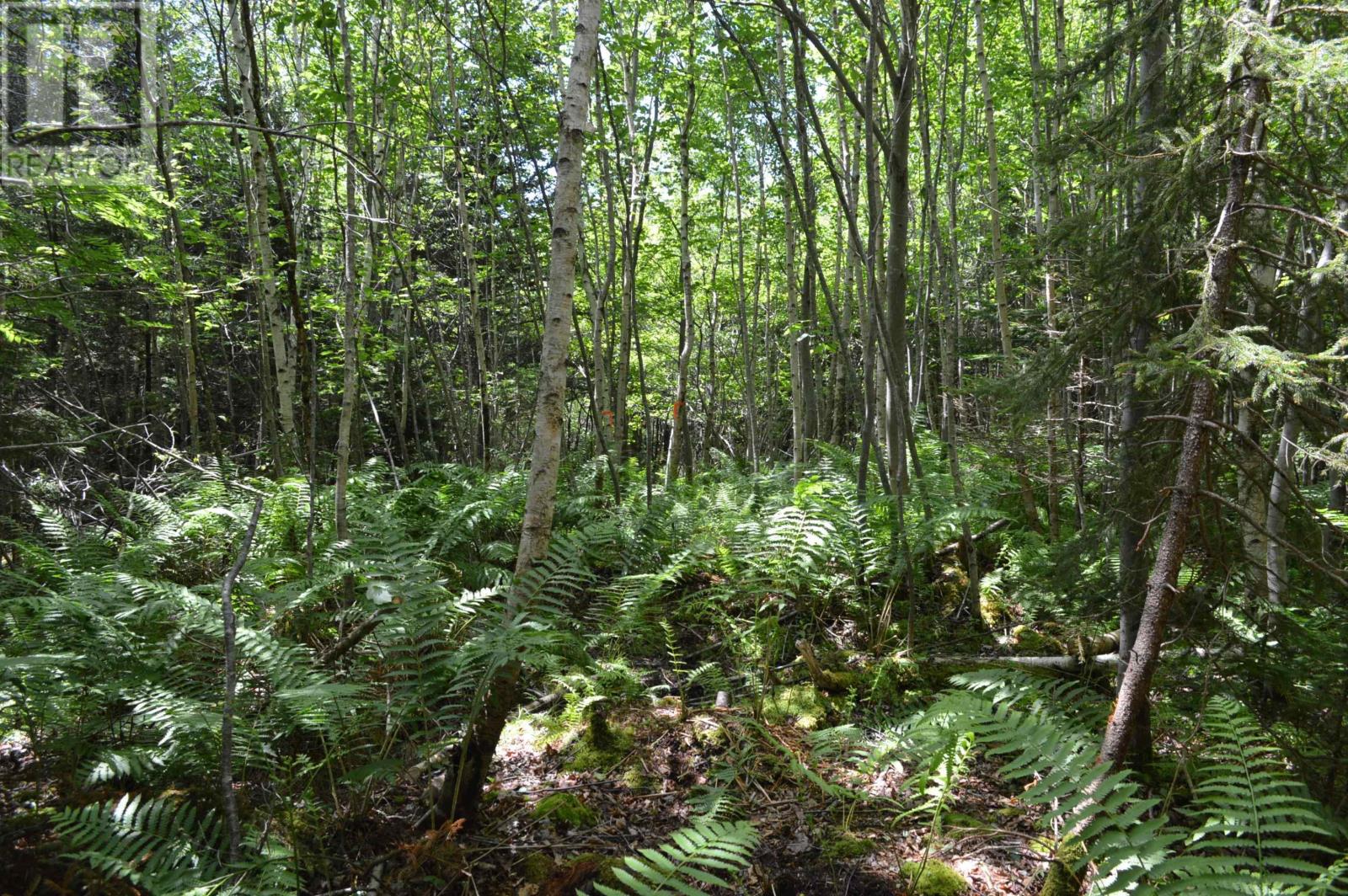 Lot Portion Of 60169216 Blue Rocks Road, Garden Lots, Nova Scotia  B0J 2C0 - Photo 24 - 202411671