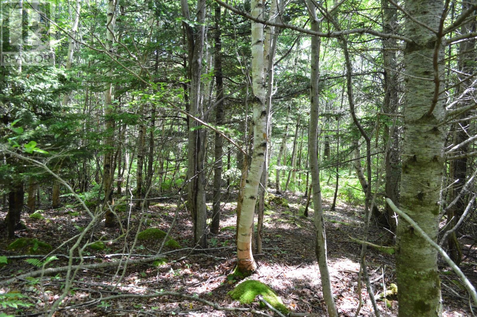 Lot Portion Of 60169216 Blue Rocks Road, Garden Lots, Nova Scotia  B0J 2C0 - Photo 25 - 202411671