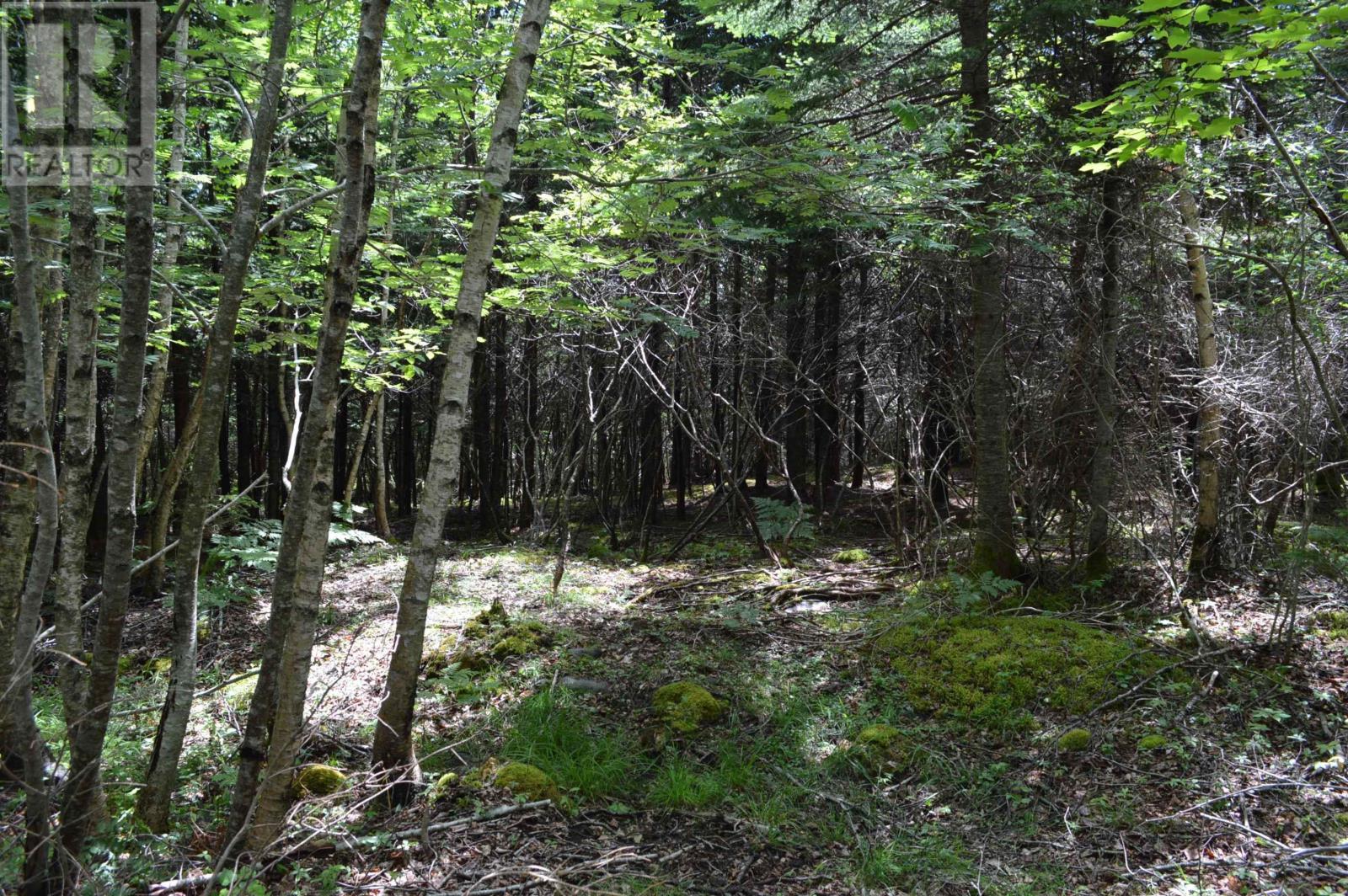 Lot Portion Of 60169216 Blue Rocks Road, Garden Lots, Nova Scotia  B0J 2C0 - Photo 27 - 202411671