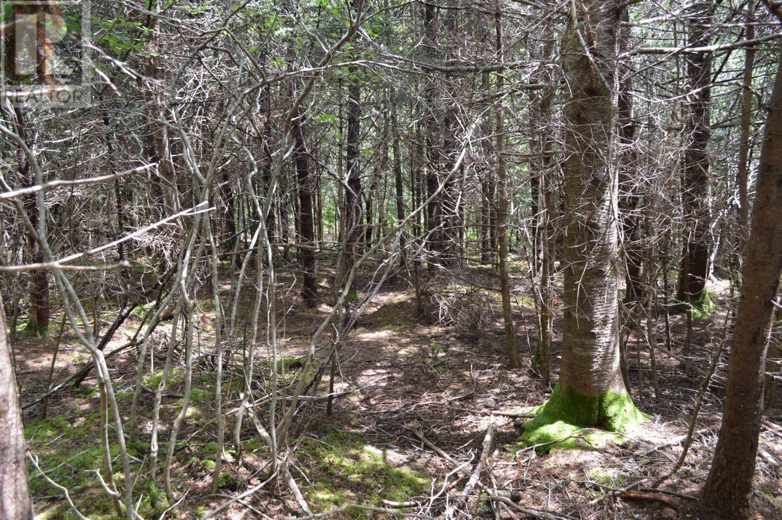 Lot Portion Of 60169216 Blue Rocks Road, Garden Lots, Nova Scotia  B0J 2C0 - Photo 29 - 202411671