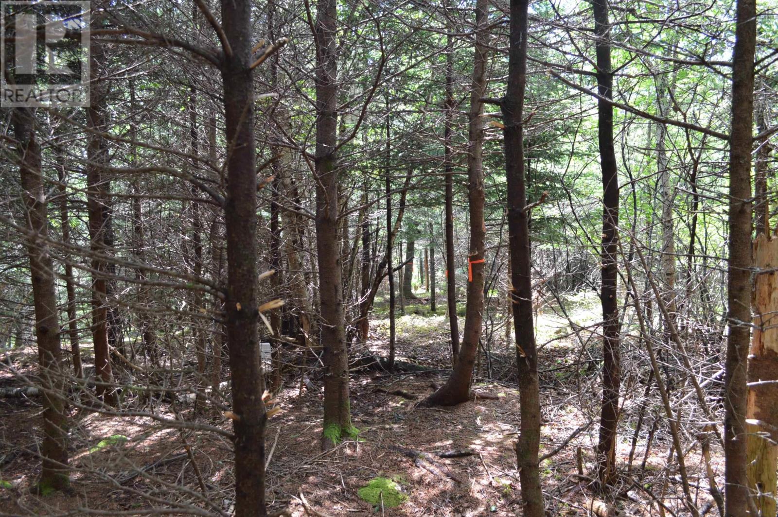 Lot Portion Of 60169216 Blue Rocks Road, Garden Lots, Nova Scotia  B0J 2C0 - Photo 30 - 202411671