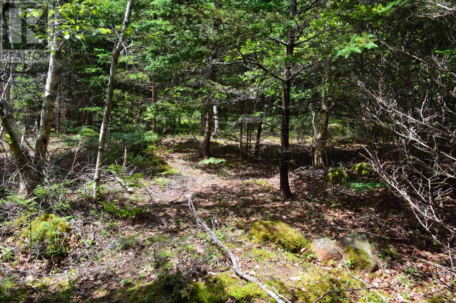 Lot Portion Of 60169216 Blue Rocks Road, Garden Lots, Nova Scotia  B0J 2C0 - Photo 31 - 202411671