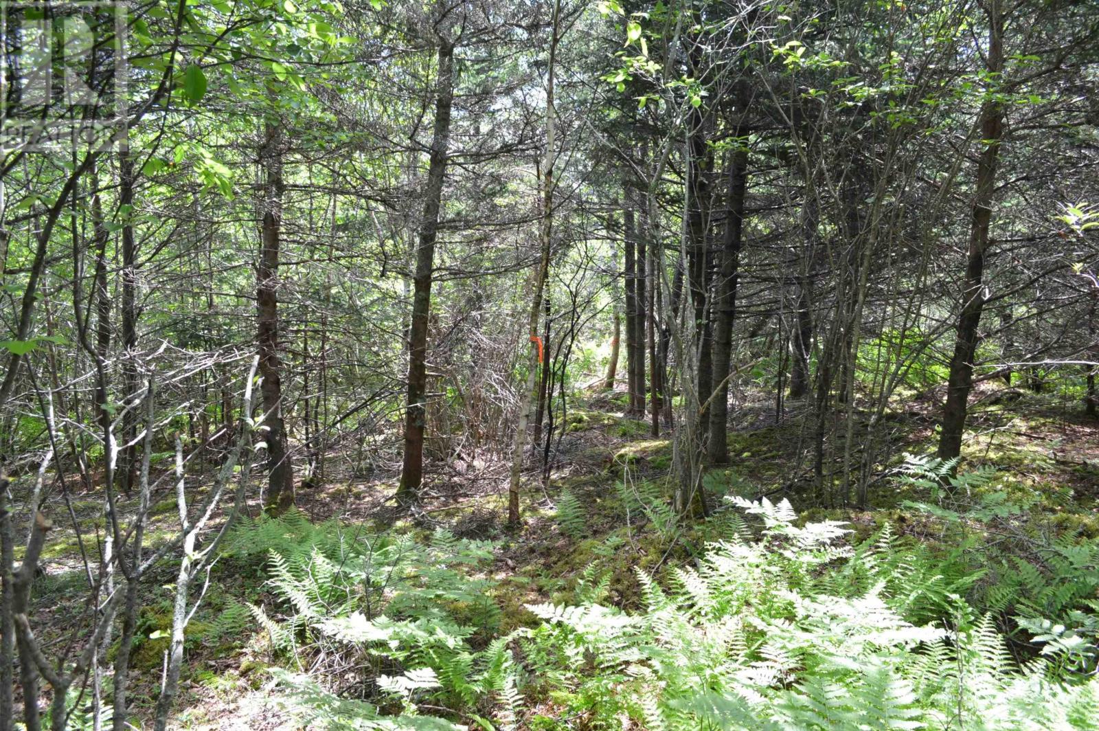 Lot Portion Of 60169216 Blue Rocks Road, Garden Lots, Nova Scotia  B0J 2C0 - Photo 33 - 202411671