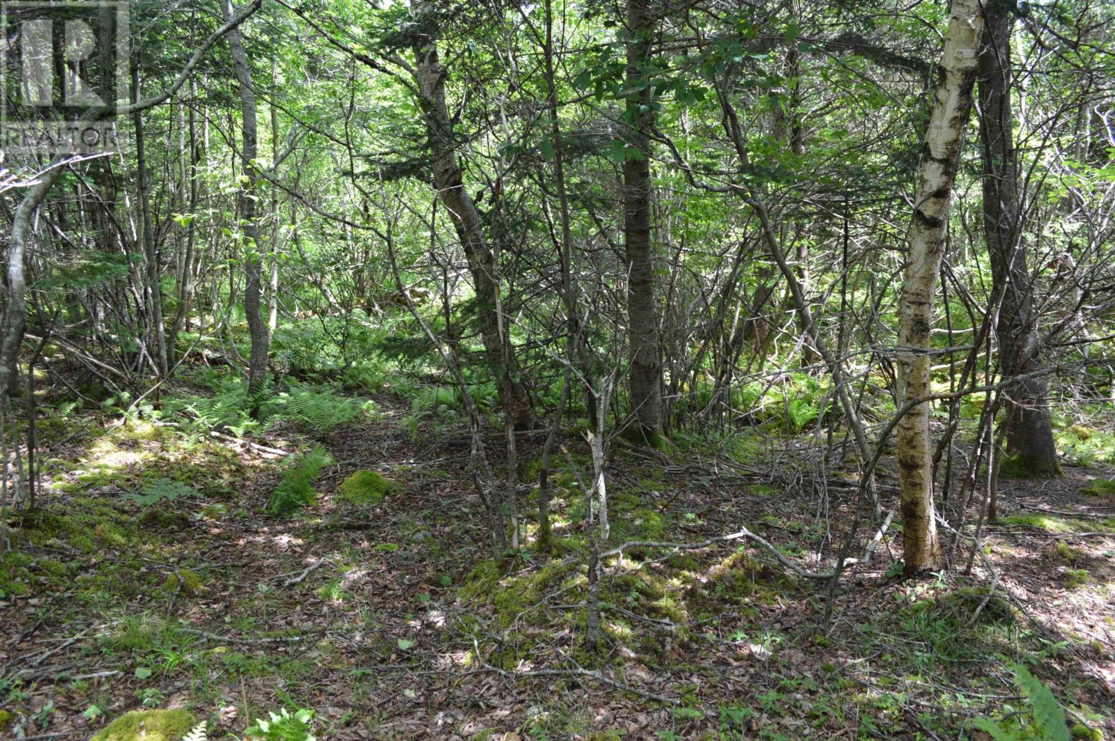 Lot Portion Of 60169216 Blue Rocks Road, Garden Lots, Nova Scotia  B0J 2C0 - Photo 34 - 202411671