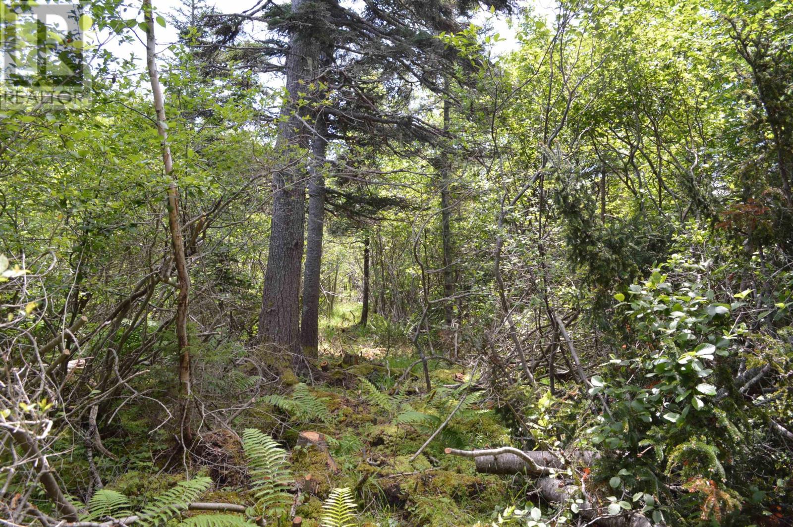 Lot Portion Of 60169216 Blue Rocks Road, Garden Lots, Nova Scotia  B0J 2C0 - Photo 35 - 202411671