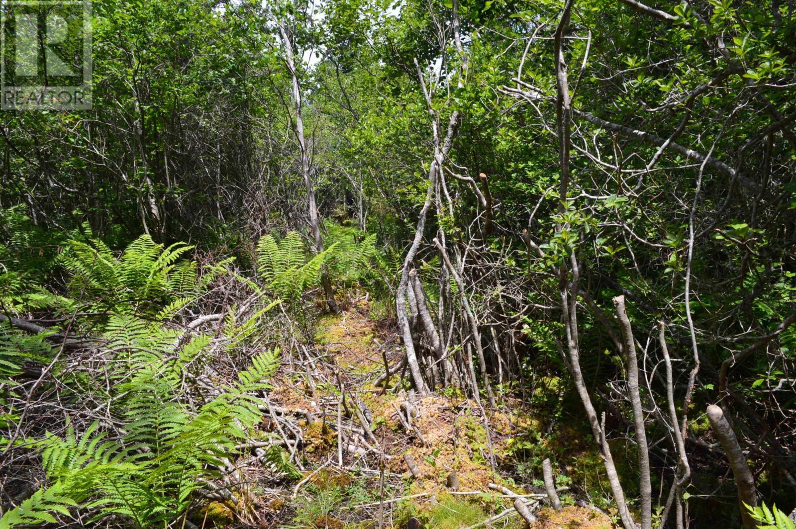 Lot Portion Of 60169216 Blue Rocks Road, Garden Lots, Nova Scotia  B0J 2C0 - Photo 36 - 202411671