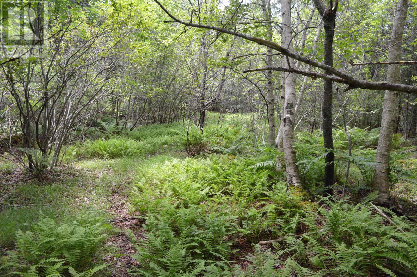 Lot Portion Of 60169216 Blue Rocks Road, Garden Lots, Nova Scotia  B0J 2C0 - Photo 38 - 202411671