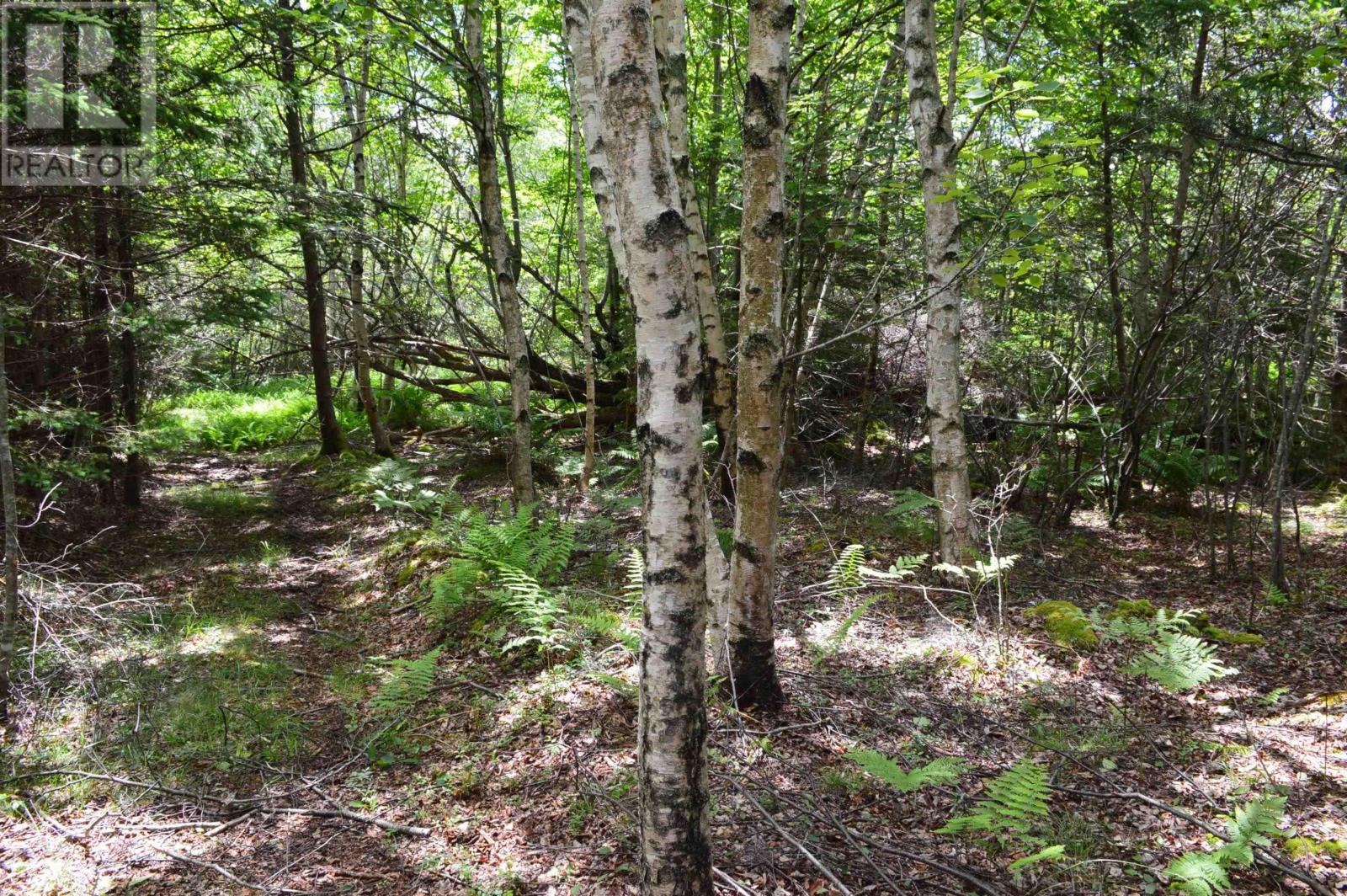 Lot Portion Of 60169216 Blue Rocks Road, Garden Lots, Nova Scotia  B0J 2C0 - Photo 39 - 202411671