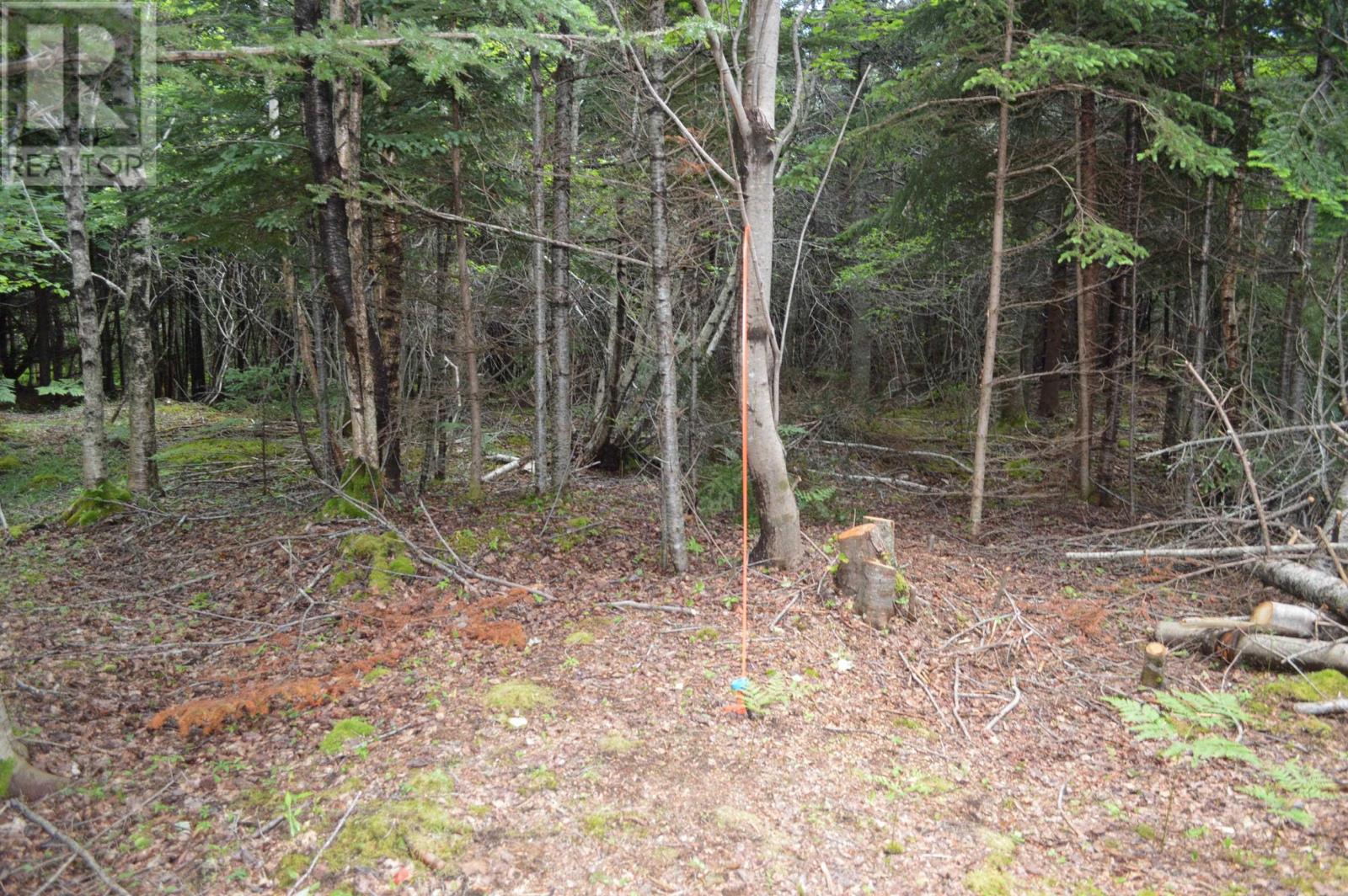 Lot Portion Of 60169216 Blue Rocks Road, Garden Lots, Nova Scotia  B0J 2C0 - Photo 40 - 202411671