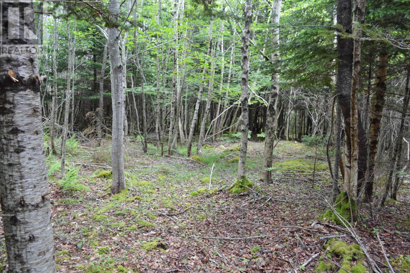 Lot Portion Of 60169216 Blue Rocks Road, Garden Lots, Nova Scotia  B0J 2C0 - Photo 41 - 202411671