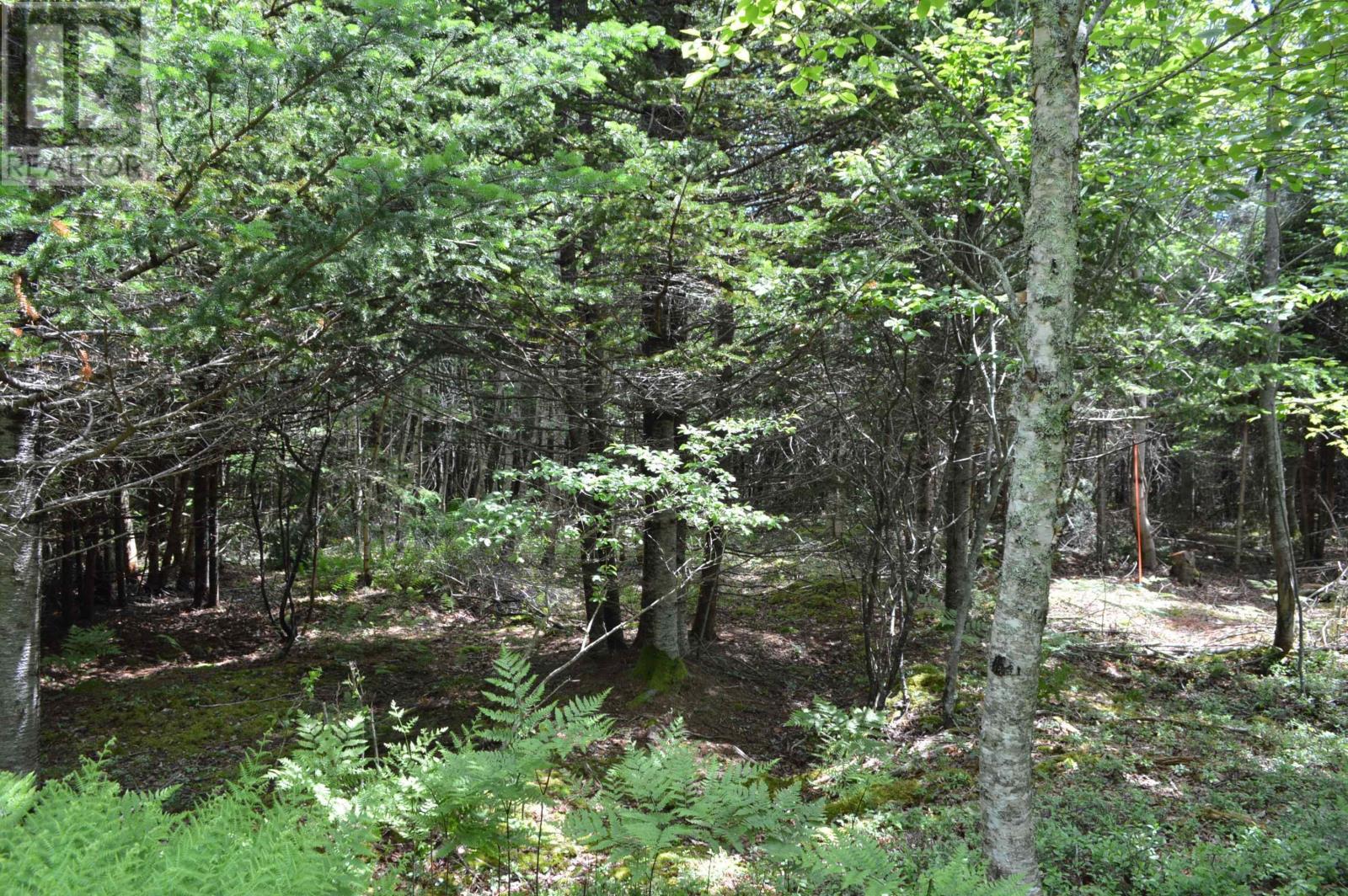 Lot Portion Of 60169216 Blue Rocks Road, Garden Lots, Nova Scotia  B0J 2C0 - Photo 42 - 202411671