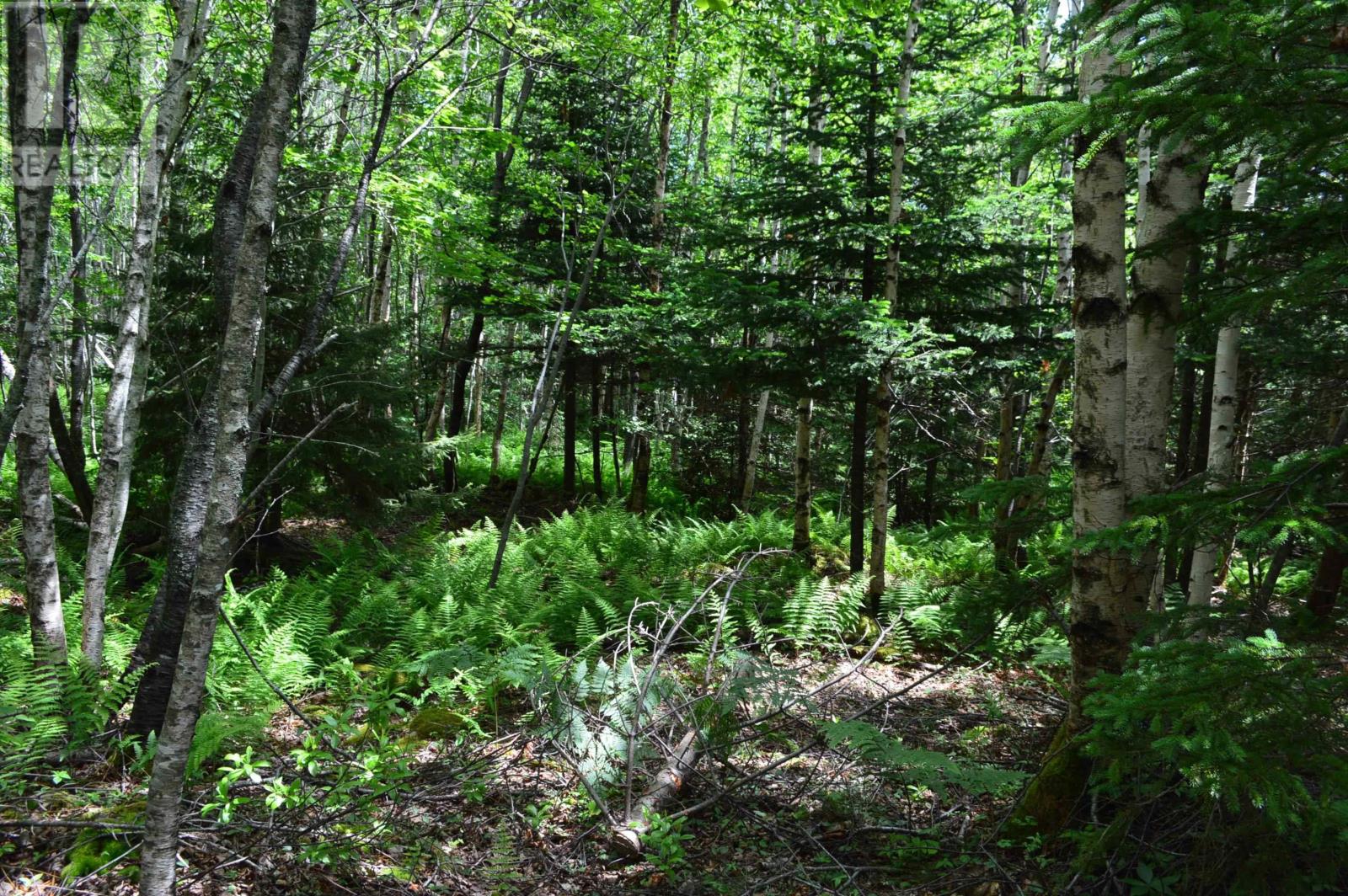 Lot Portion Of 60169216 Blue Rocks Road, Garden Lots, Nova Scotia  B0J 2C0 - Photo 43 - 202411671