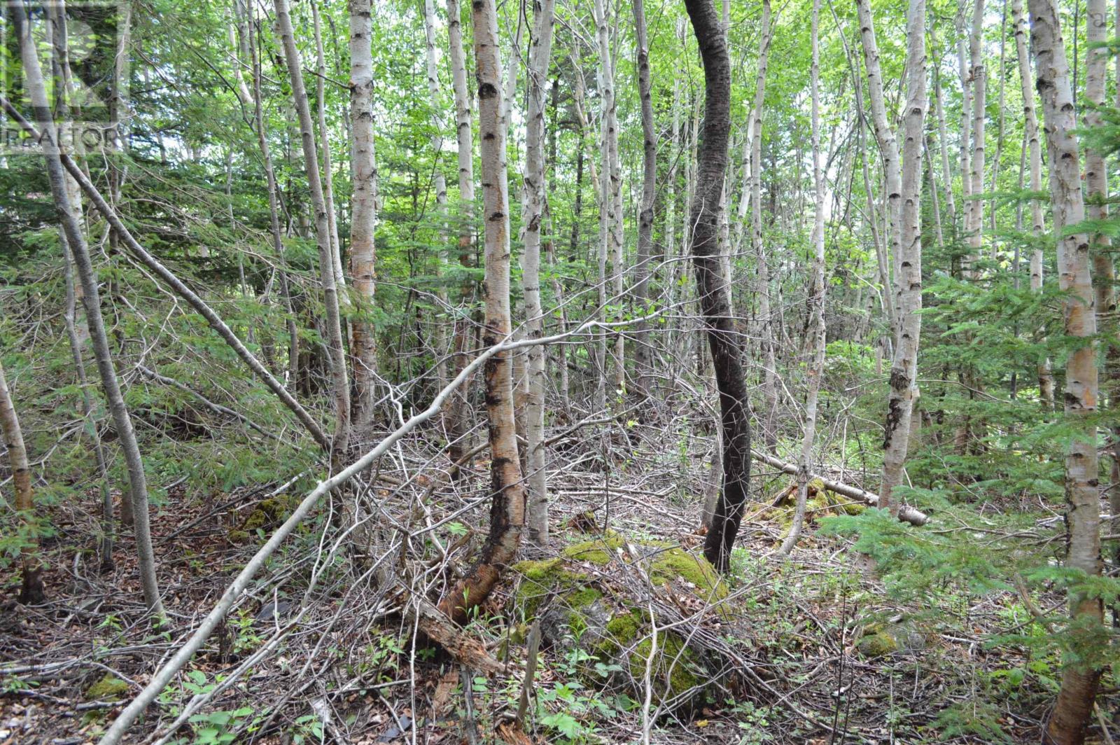 Lot Portion Of 60169216 Blue Rocks Road, Garden Lots, Nova Scotia  B0J 2C0 - Photo 45 - 202411671