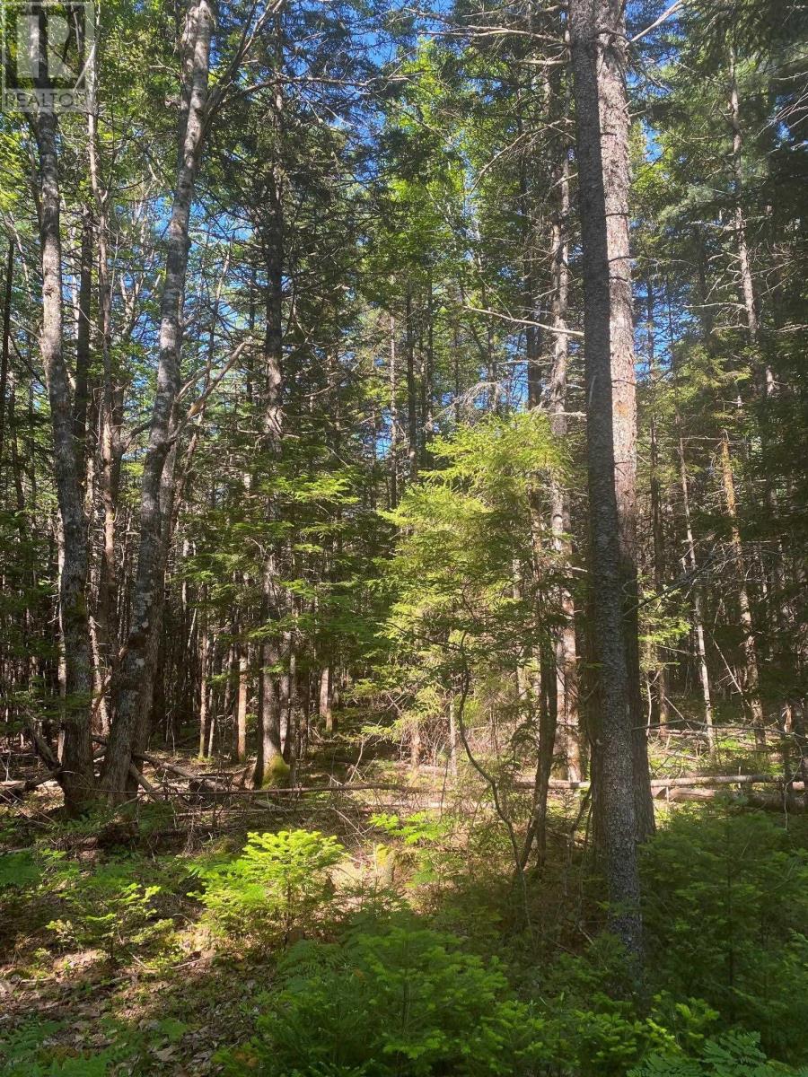 Lot Pid 60493061 Huey Lake Road, Mount Pleasant, Nova Scotia  B0R 1G0 - Photo 5 - 202411673