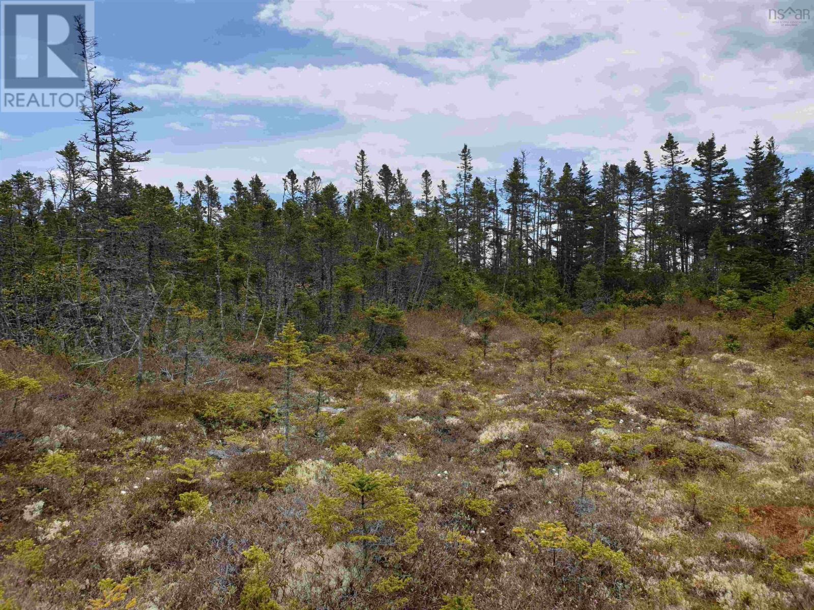 Lot 20-1 No 7 Highway, Ecum Secum, Nova Scotia  B0H 2G0 - Photo 6 - 202411792