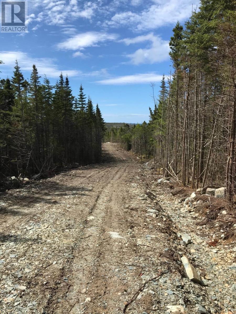 Lot 20-3 Highway 7, Ecum Secum, Nova Scotia  B0J 2G0 - Photo 14 - 202411794