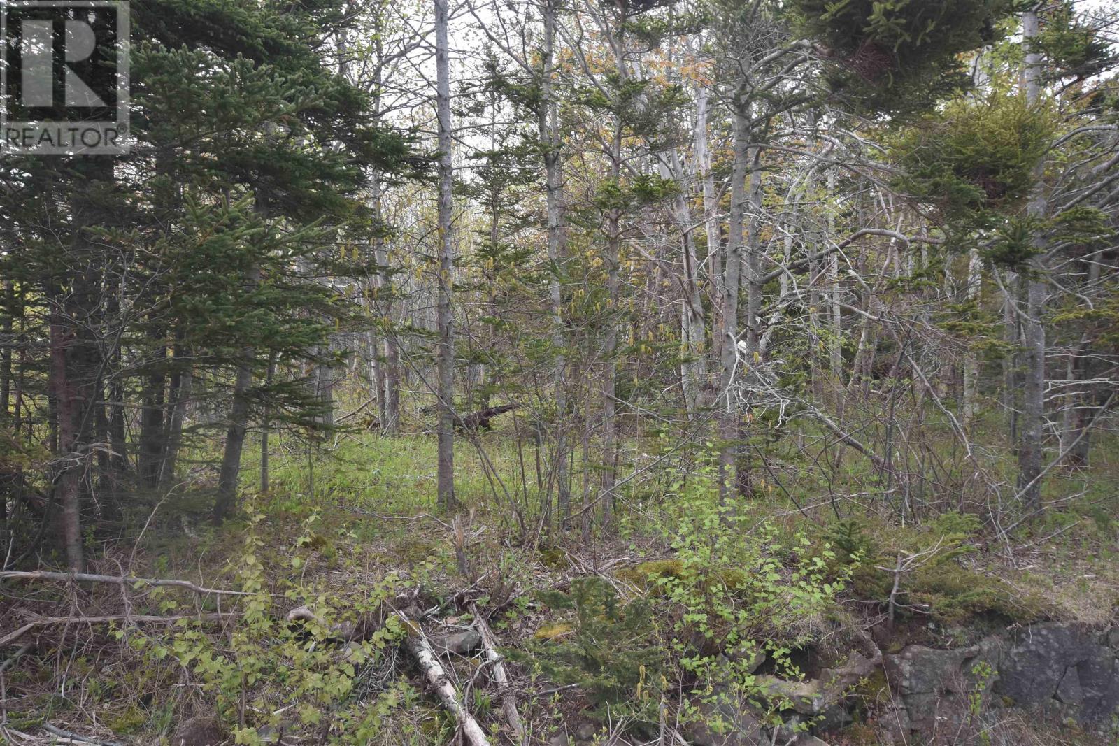 Lot Shore Road W, Youngs Cove, Nova Scotia  B0S 1L0 - Photo 10 - 202411829