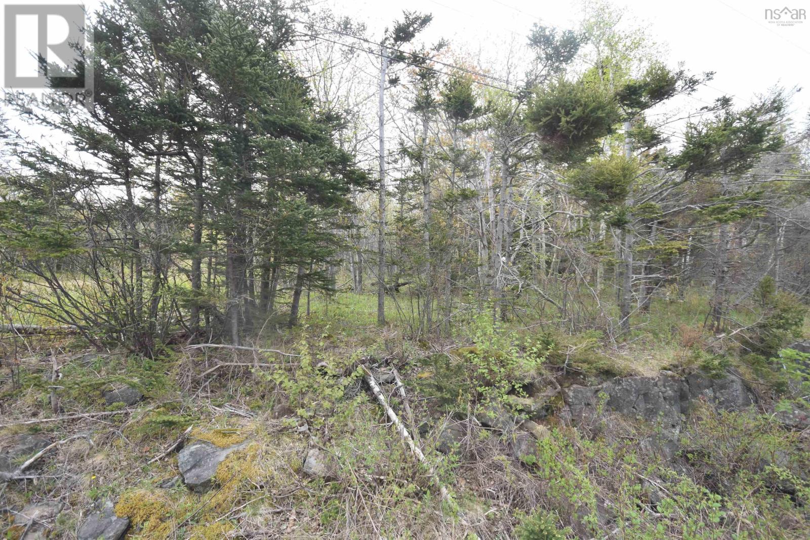 Lot Shore Road W, Youngs Cove, Nova Scotia  B0S 1L0 - Photo 11 - 202411829