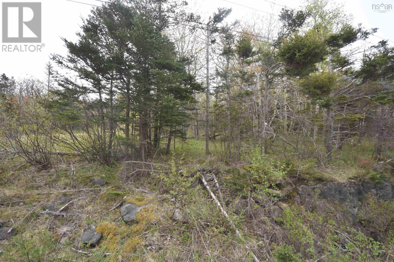 Lot Shore Road W, Youngs Cove, Nova Scotia  B0S 1L0 - Photo 12 - 202411829