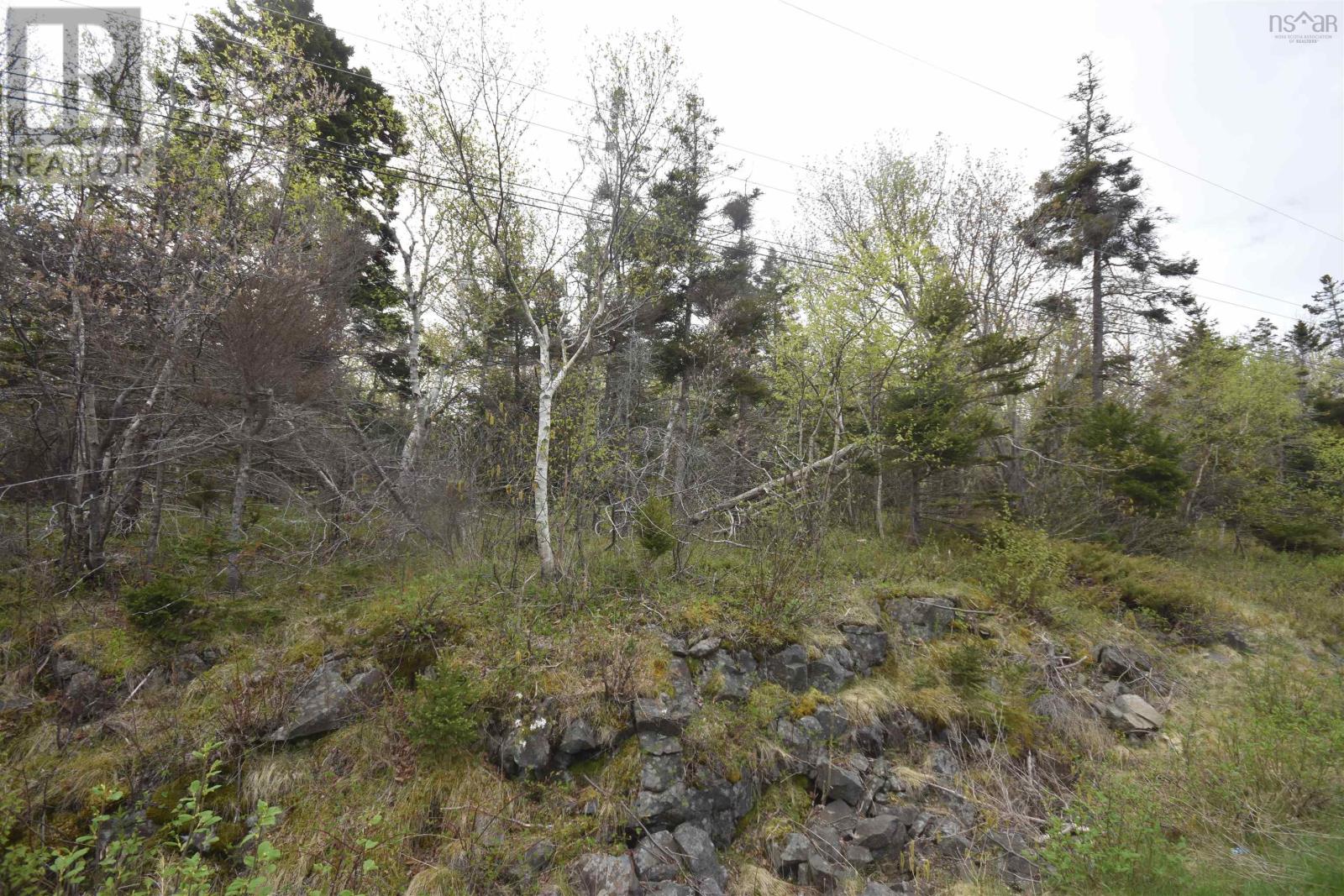 Lot Shore Road W, Youngs Cove, Nova Scotia  B0S 1L0 - Photo 13 - 202411829