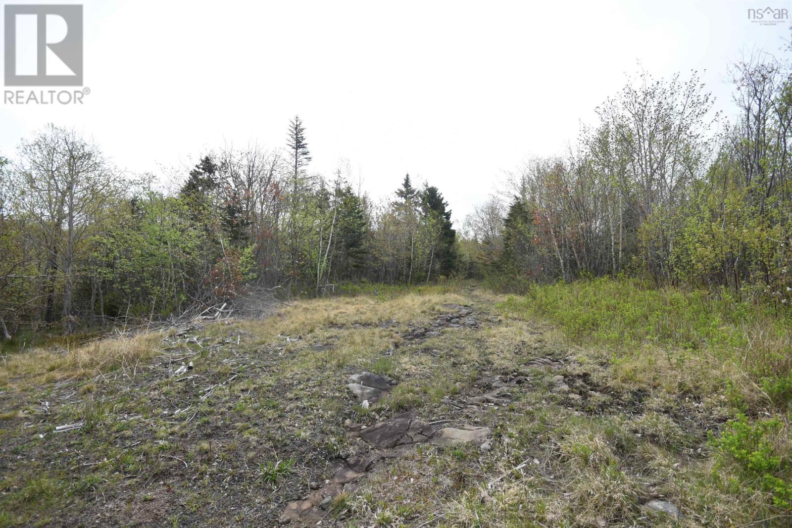 Lot Shore Road W, Youngs Cove, Nova Scotia  B0S 1L0 - Photo 14 - 202411829