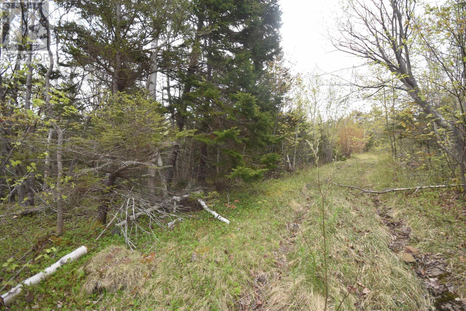 Lot Shore Road W, Youngs Cove, Nova Scotia  B0S 1L0 - Photo 15 - 202411829