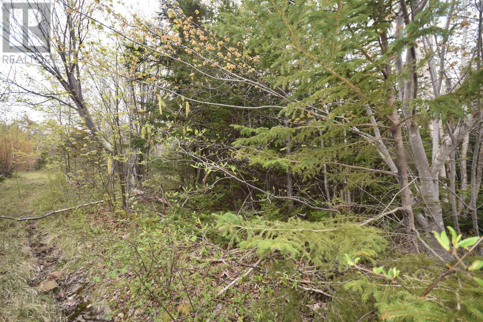 Lot Shore Road W, Youngs Cove, Nova Scotia  B0S 1L0 - Photo 16 - 202411829