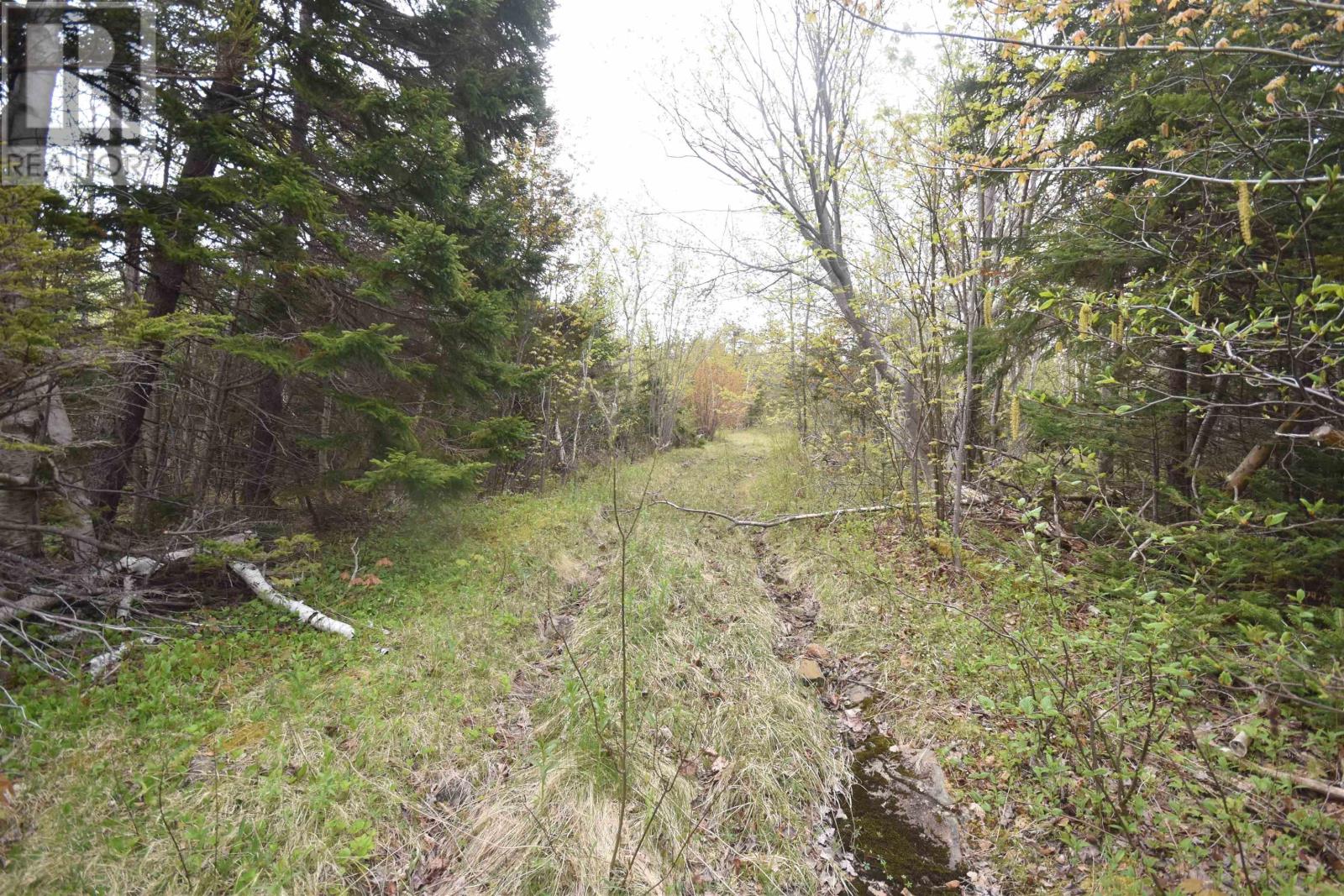 Lot Shore Road W, Youngs Cove, Nova Scotia  B0S 1L0 - Photo 17 - 202411829