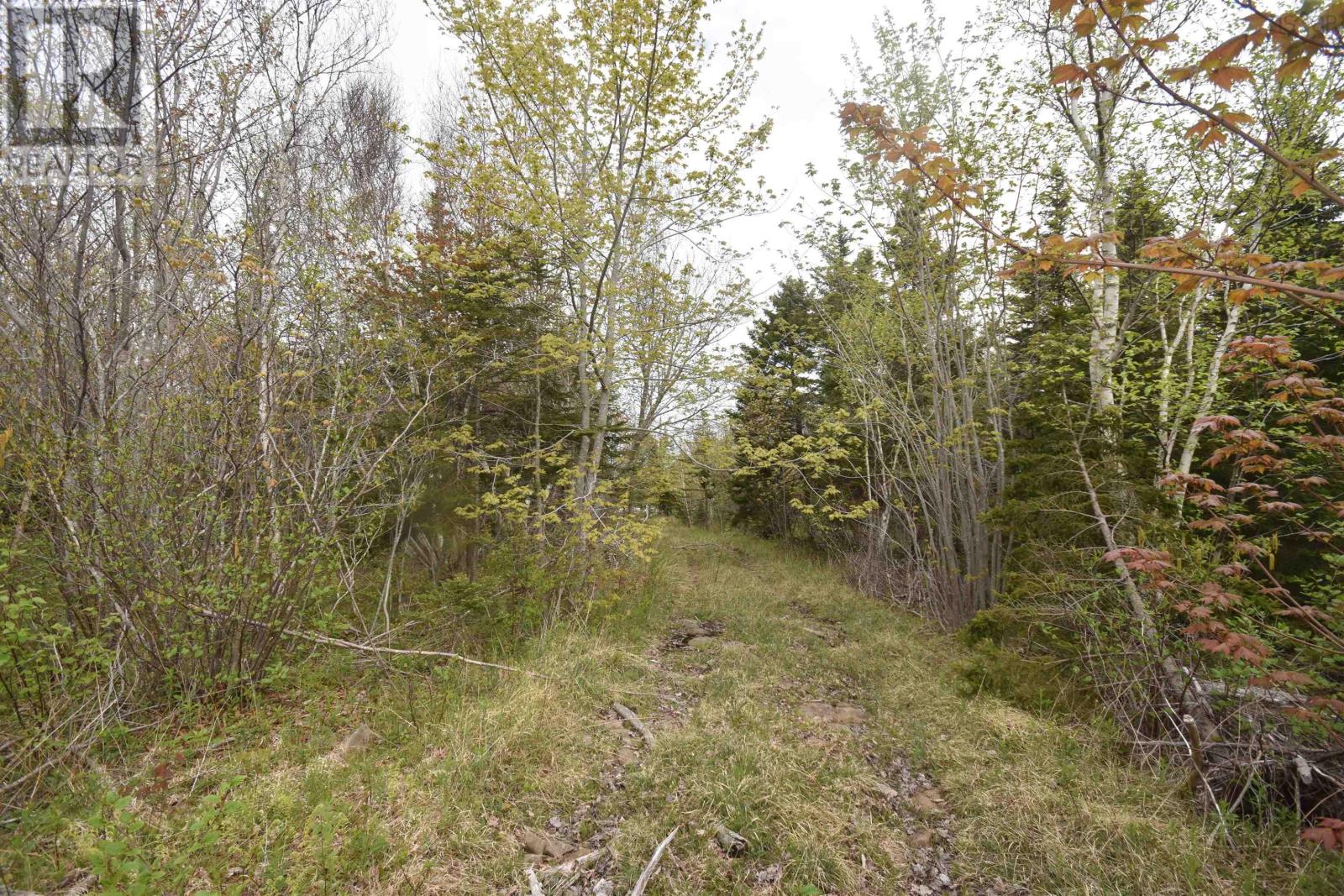 Lot Shore Road W, Youngs Cove, Nova Scotia  B0S 1L0 - Photo 18 - 202411829