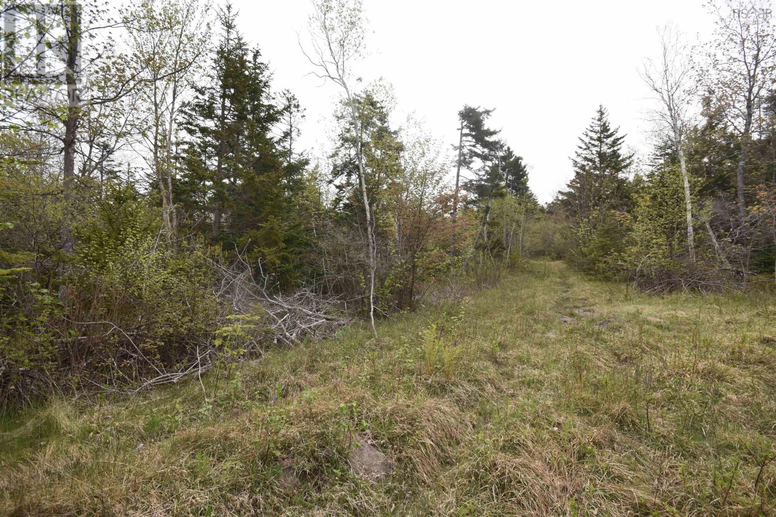 Lot Shore Road W, Youngs Cove, Nova Scotia  B0S 1L0 - Photo 19 - 202411829