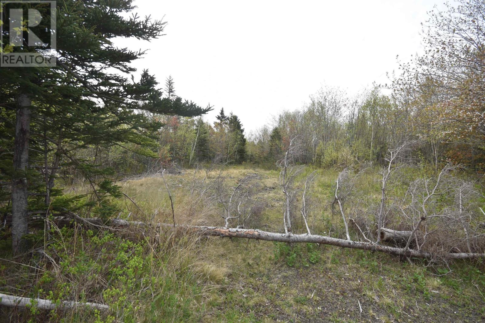 Lot Shore Road W, Youngs Cove, Nova Scotia  B0S 1L0 - Photo 2 - 202411829