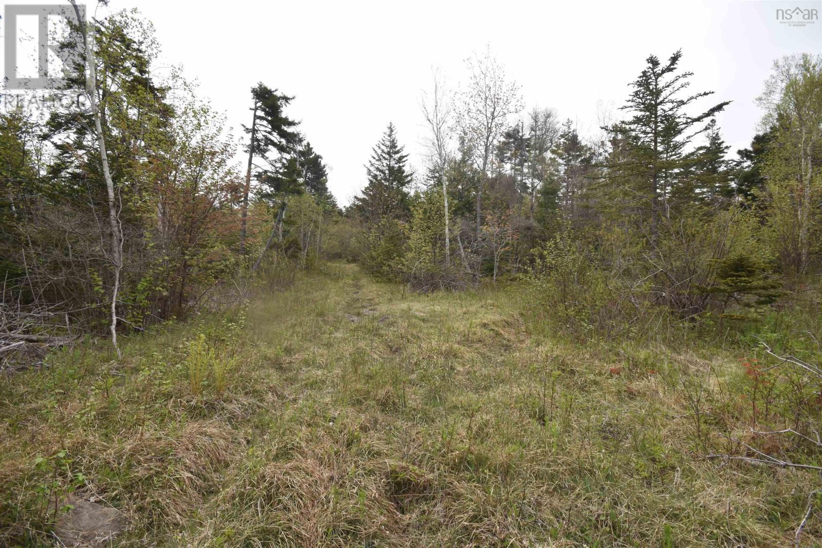 Lot Shore Road W, Youngs Cove, Nova Scotia  B0S 1L0 - Photo 21 - 202411829