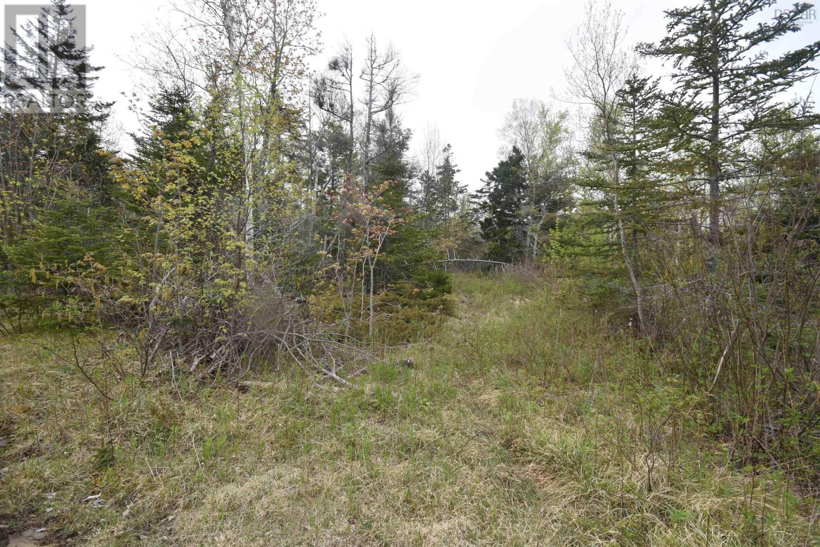 Lot Shore Road W, Youngs Cove, Nova Scotia  B0S 1L0 - Photo 22 - 202411829