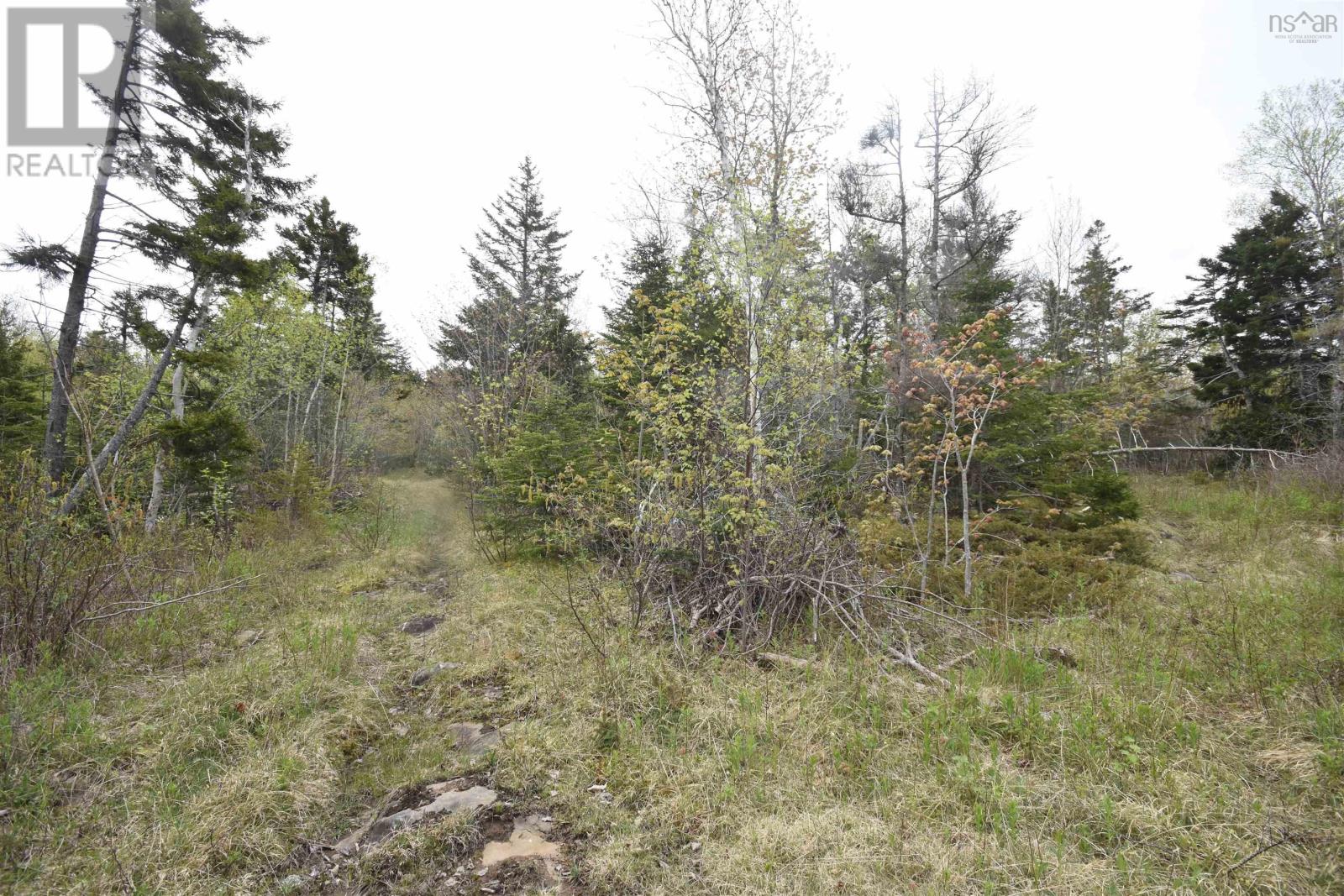 Lot Shore Road W, Youngs Cove, Nova Scotia  B0S 1L0 - Photo 23 - 202411829