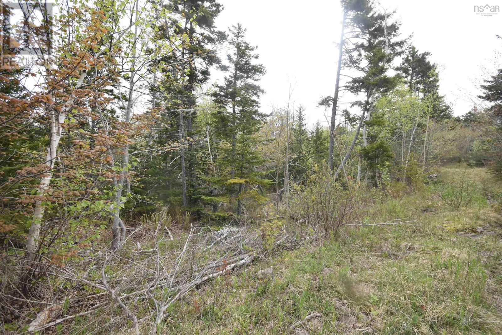 Lot Shore Road W, Youngs Cove, Nova Scotia  B0S 1L0 - Photo 24 - 202411829