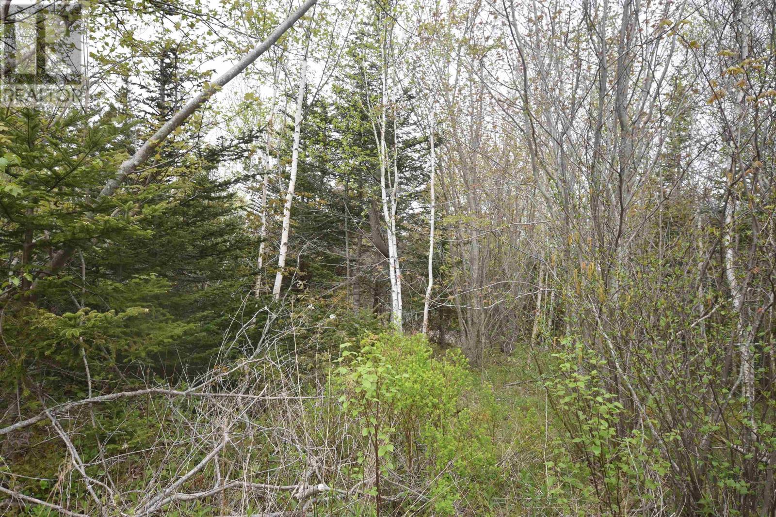 Lot Shore Road W, Youngs Cove, Nova Scotia  B0S 1L0 - Photo 25 - 202411829