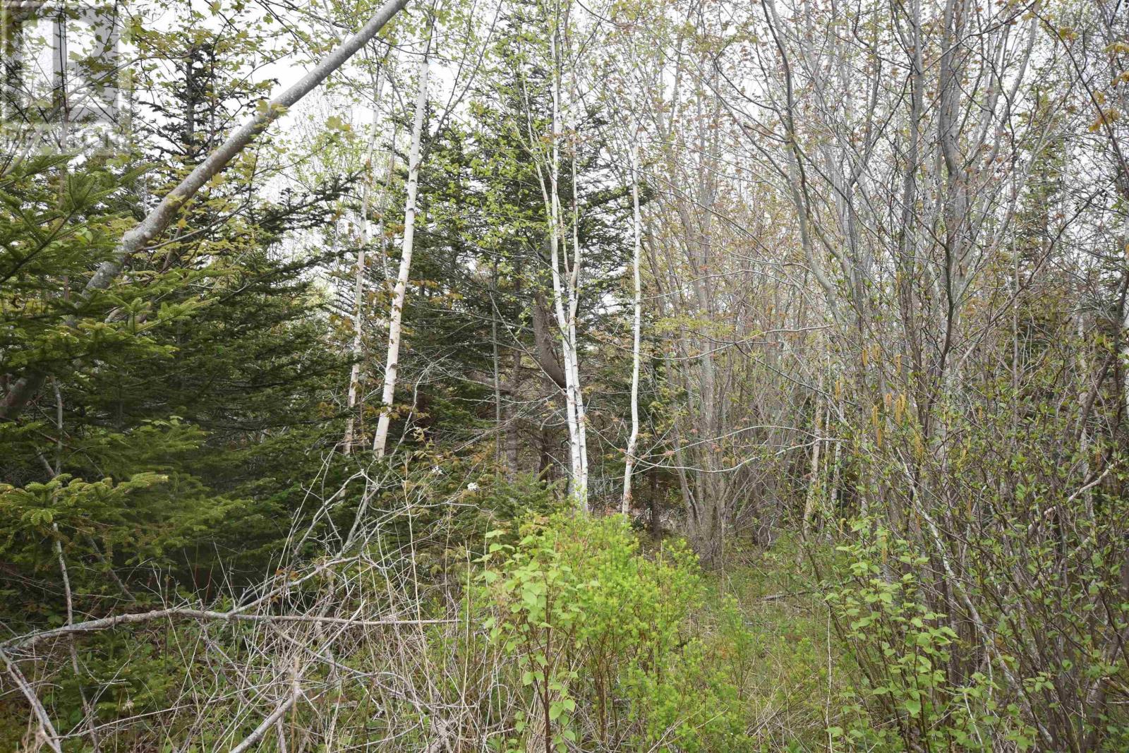 Lot Shore Road W, Youngs Cove, Nova Scotia  B0S 1L0 - Photo 26 - 202411829