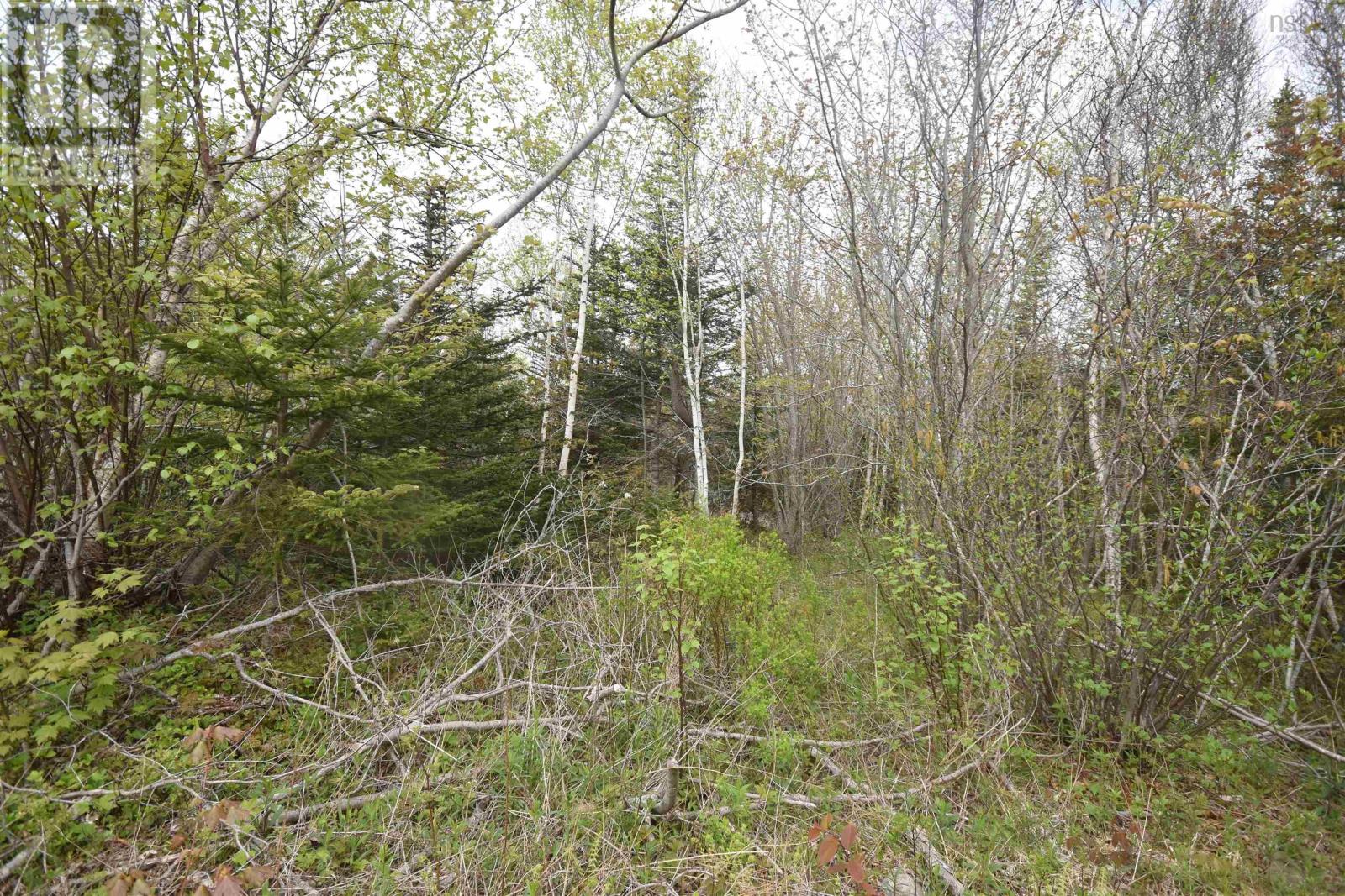 Lot Shore Road W, Youngs Cove, Nova Scotia  B0S 1L0 - Photo 27 - 202411829