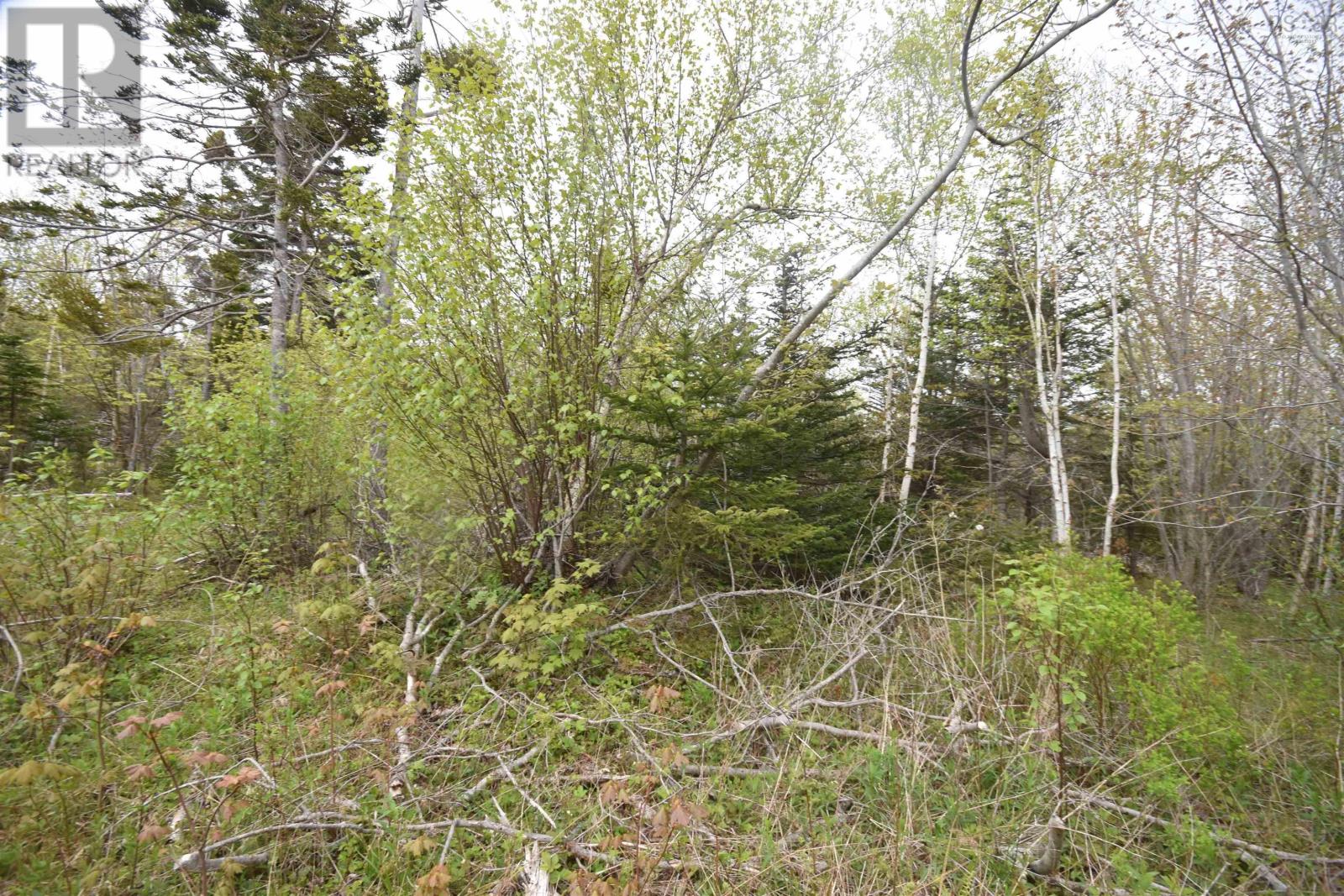 Lot Shore Road W, Youngs Cove, Nova Scotia  B0S 1L0 - Photo 28 - 202411829