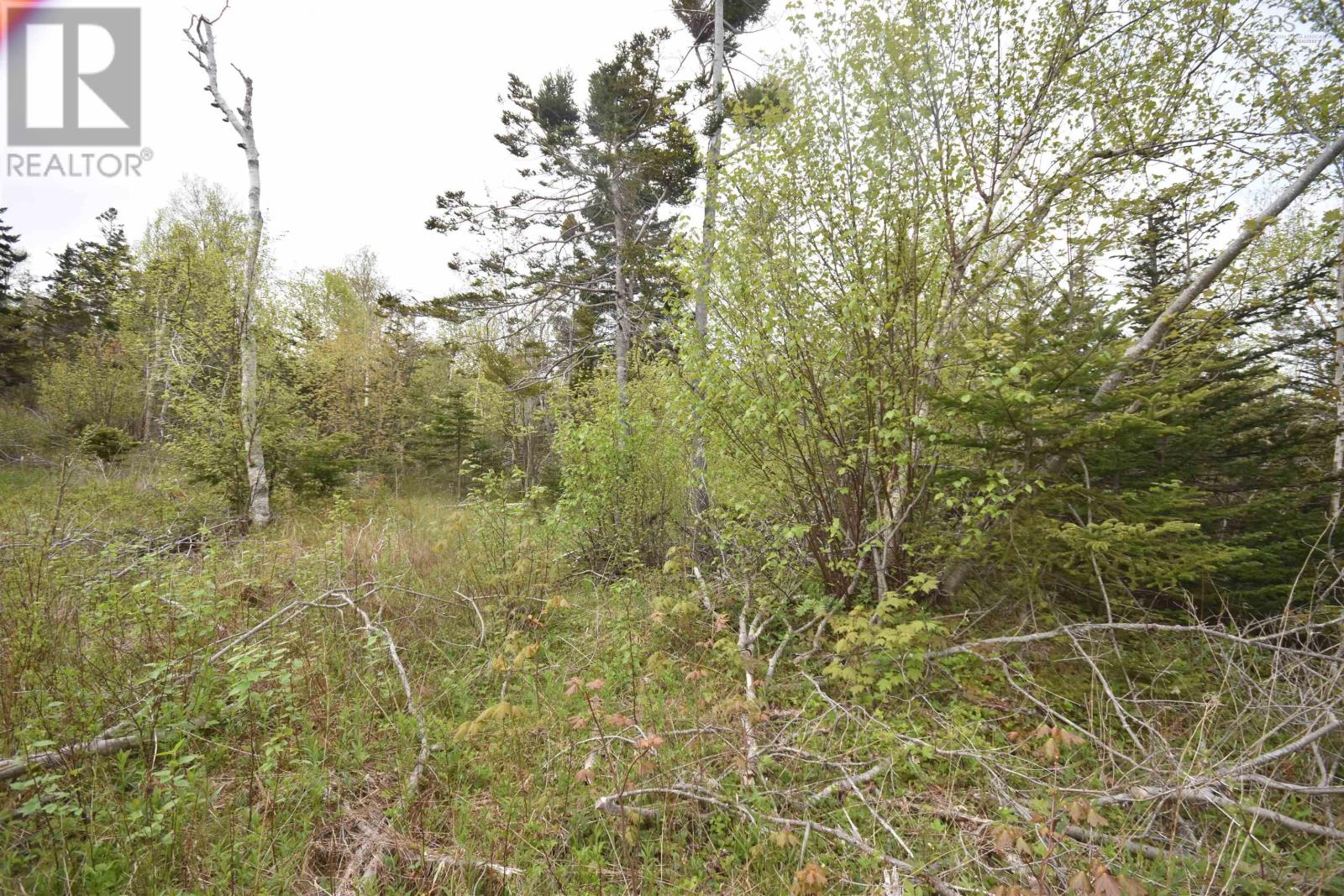 Lot Shore Road W, Youngs Cove, Nova Scotia  B0S 1L0 - Photo 29 - 202411829