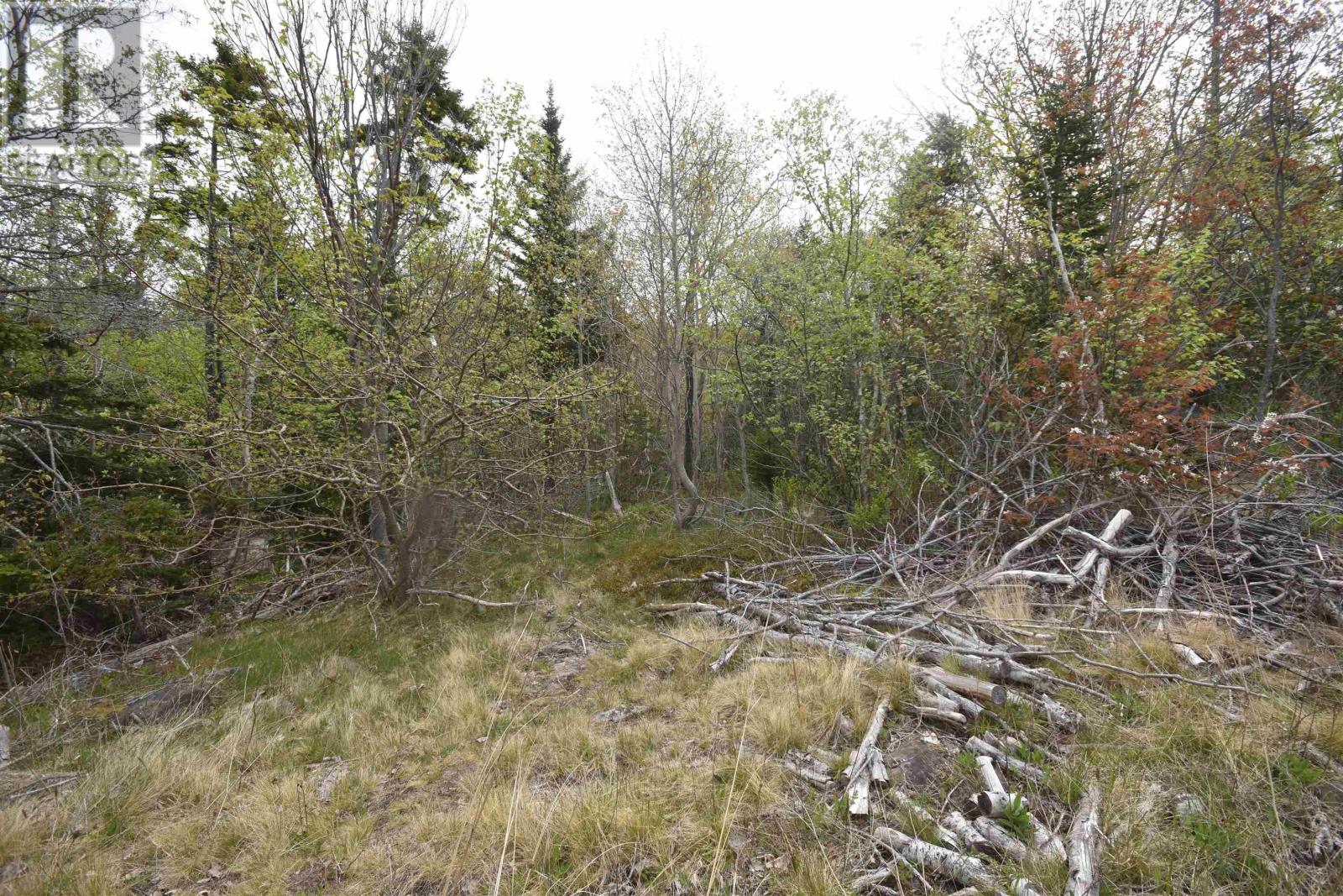 Lot Shore Road W, Youngs Cove, Nova Scotia  B0S 1L0 - Photo 30 - 202411829